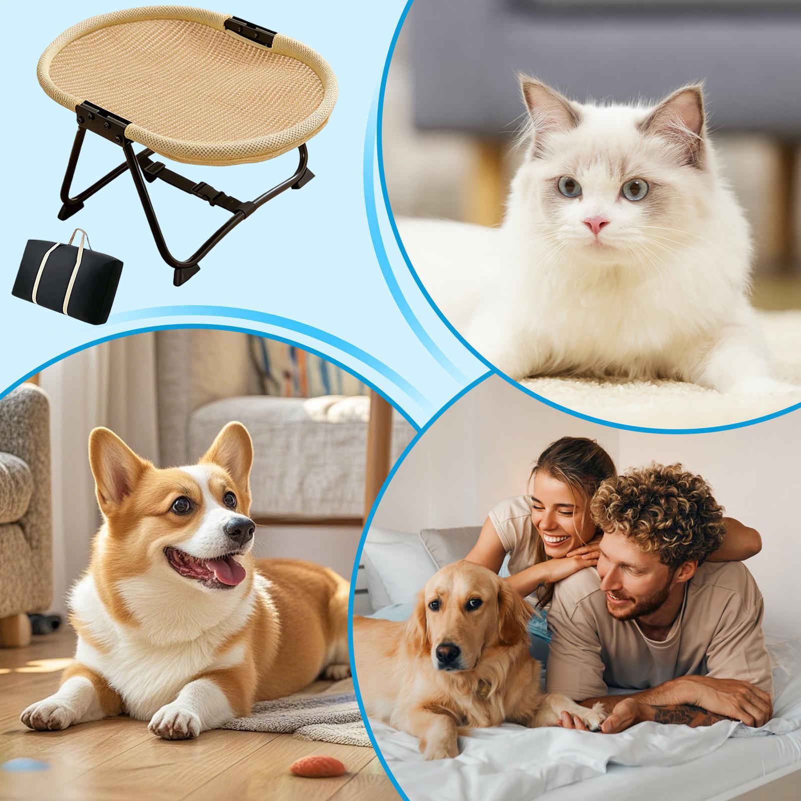 Dog Cot Bed Foldable Soft Hamm - Outdoor Camping Dog Bed ulasan dan harga