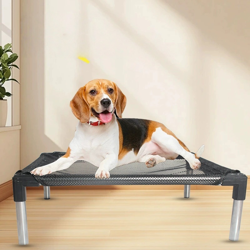 Cooling Elevated Dog Bed - Rai - Outdoor Camping Dog Bed ulasan dan harga