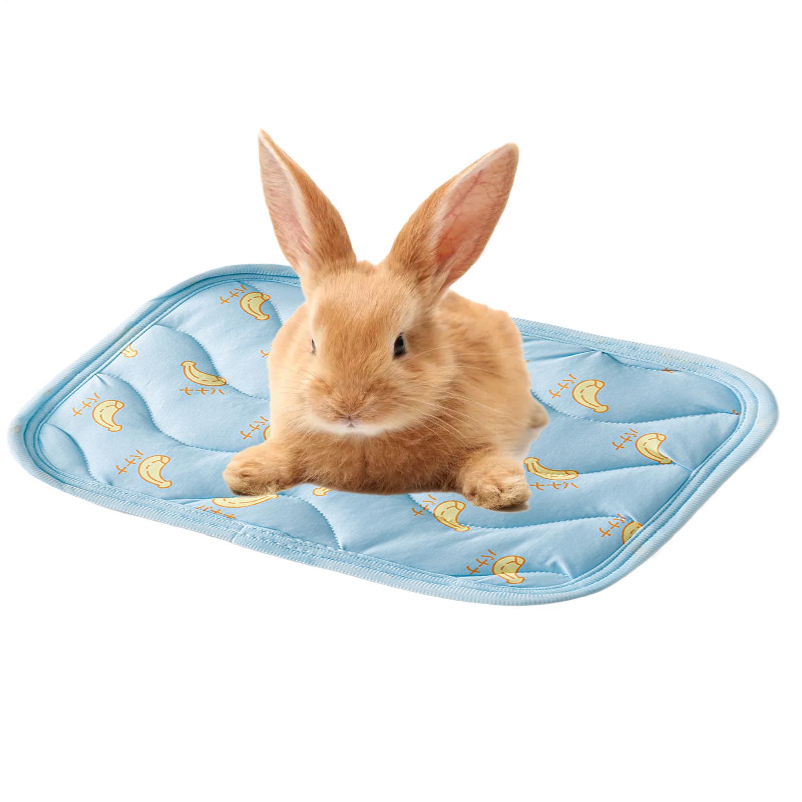Portable Durable Pet Cooling M - Outdoor Camping Dog Bed ulasan dan harga