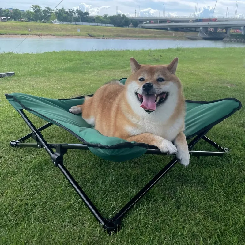 for Luxurious Modern Portable  - Outdoor Camping Dog Bed ulasan dan harga